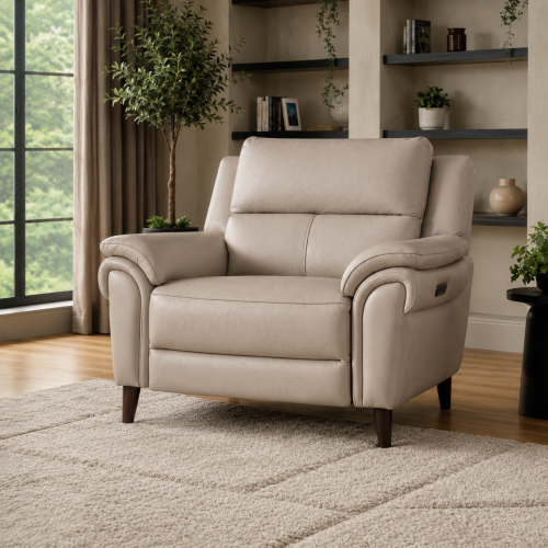 Alpha Power Recliner Chair
